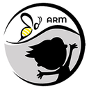 Криптовалюта ARMTOKEN TARM