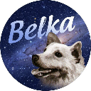 Криптовалюта {name:ru} Belka BLK Криптовалюта {name:ru} Belka BLK
