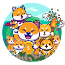 Криптовалюта {name:ru} DogeVillage DOGEV