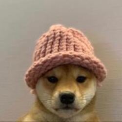 Криптовалюта {name:ru} dogwifhat WIF Криптовалюта {name:ru} dogwifhat WIF