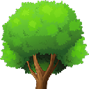 Криптовалюта {name:ru} Octree OCT Криптовалюта {name:ru} Octree OCT