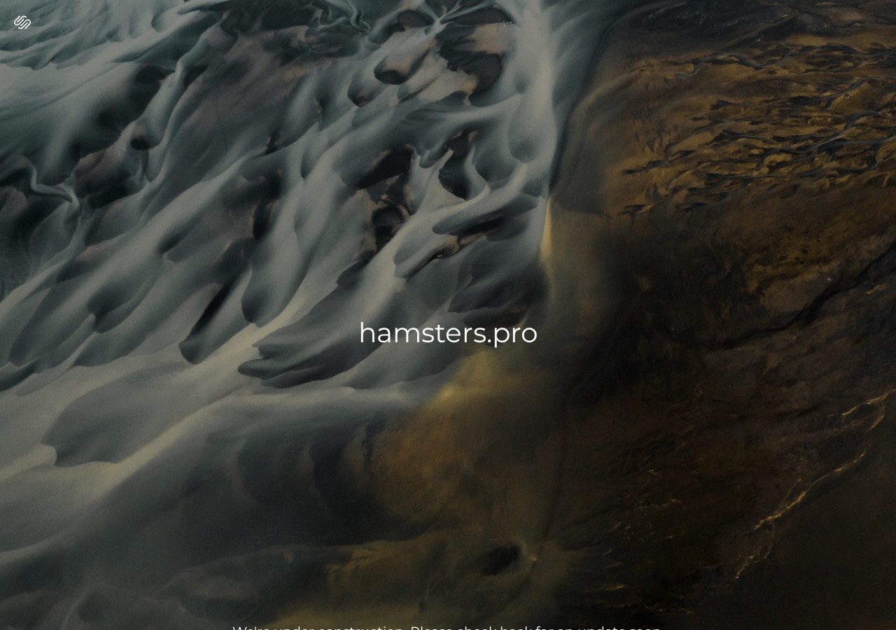 Хайп проект Hamsters Хайп проект Hamsters