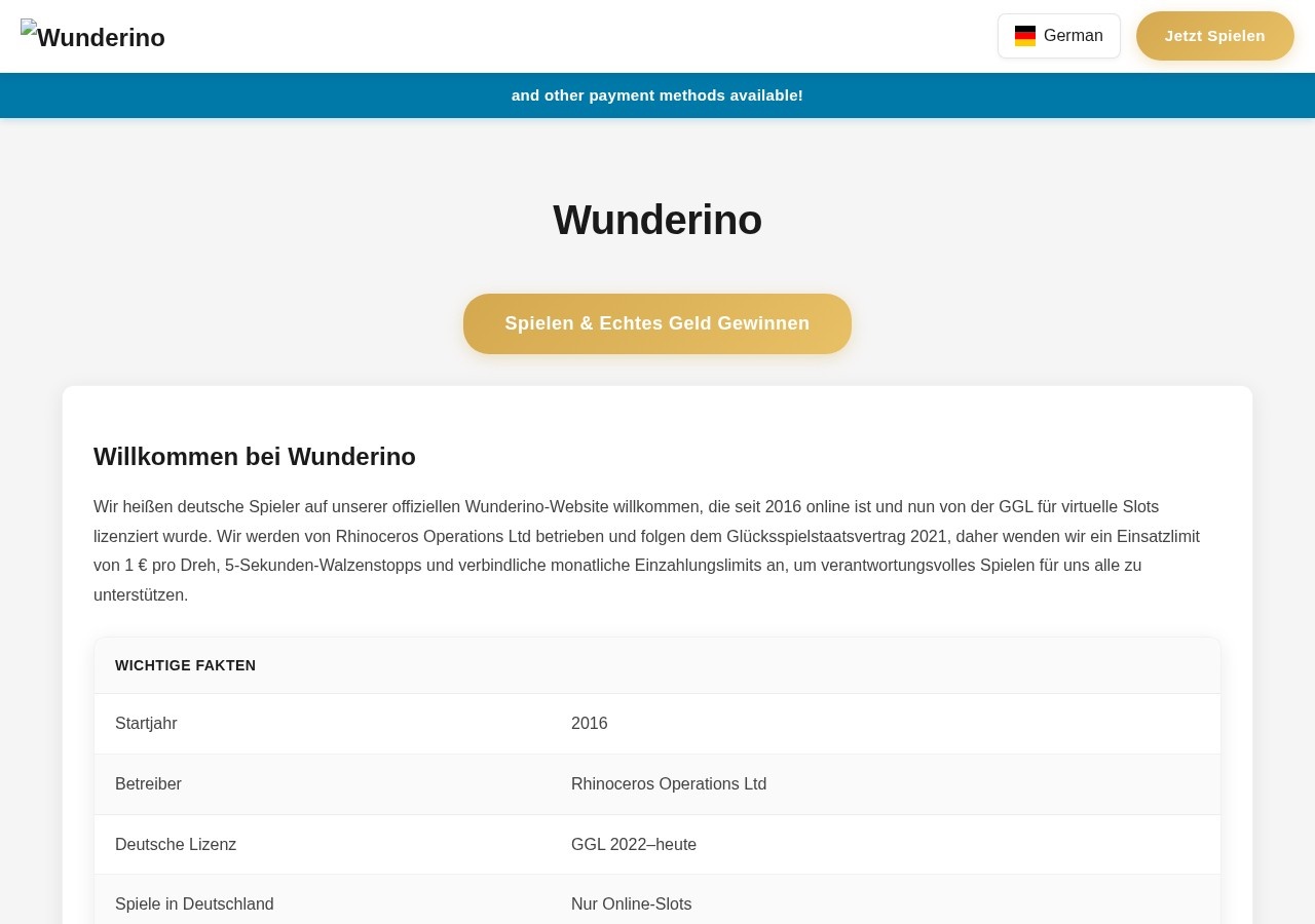 Хайп Wunderino