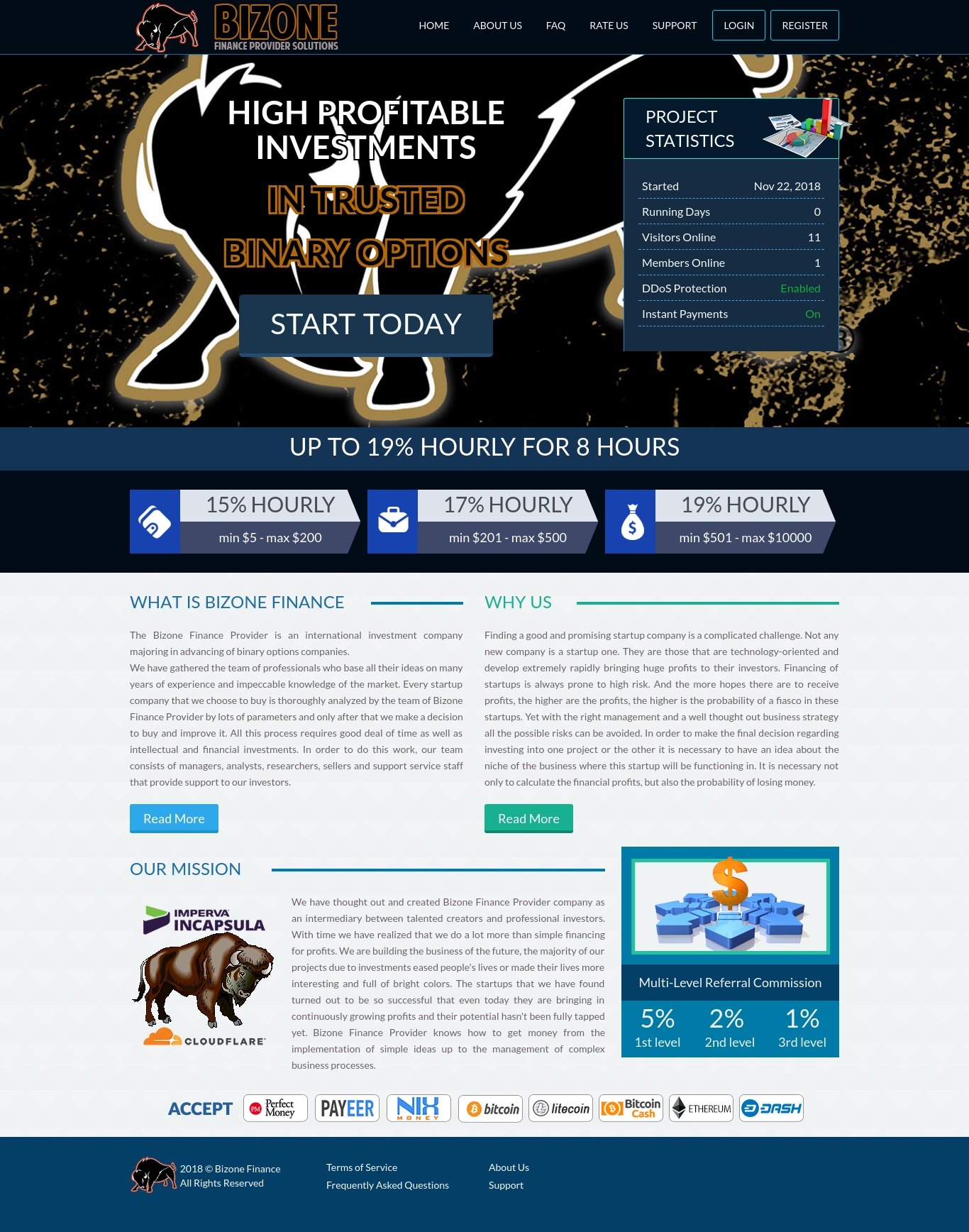 Инвестиционный проект Bizone Инвестиционный проект Bizone