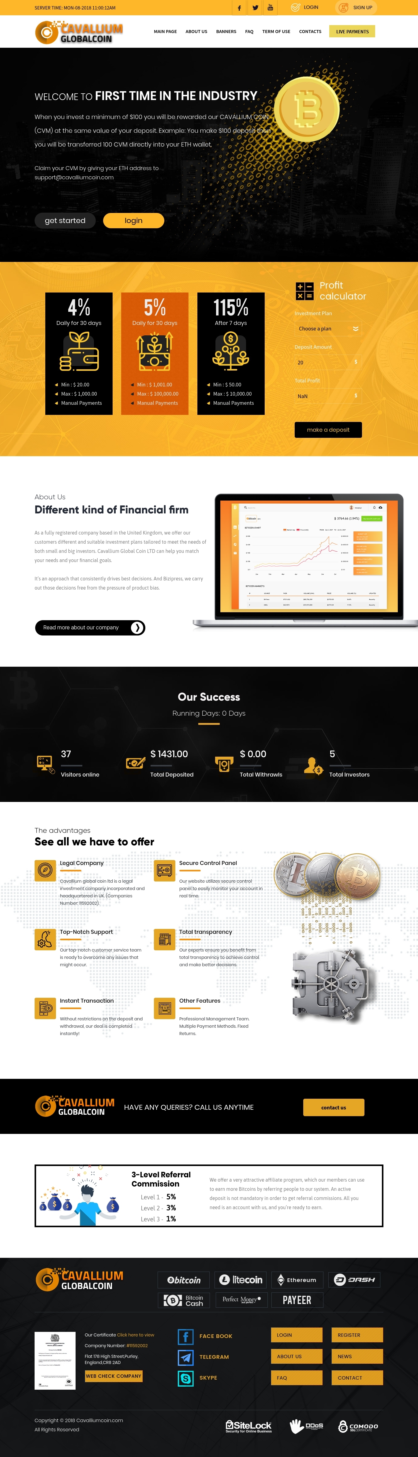 Инвест проект Cavallium Global
