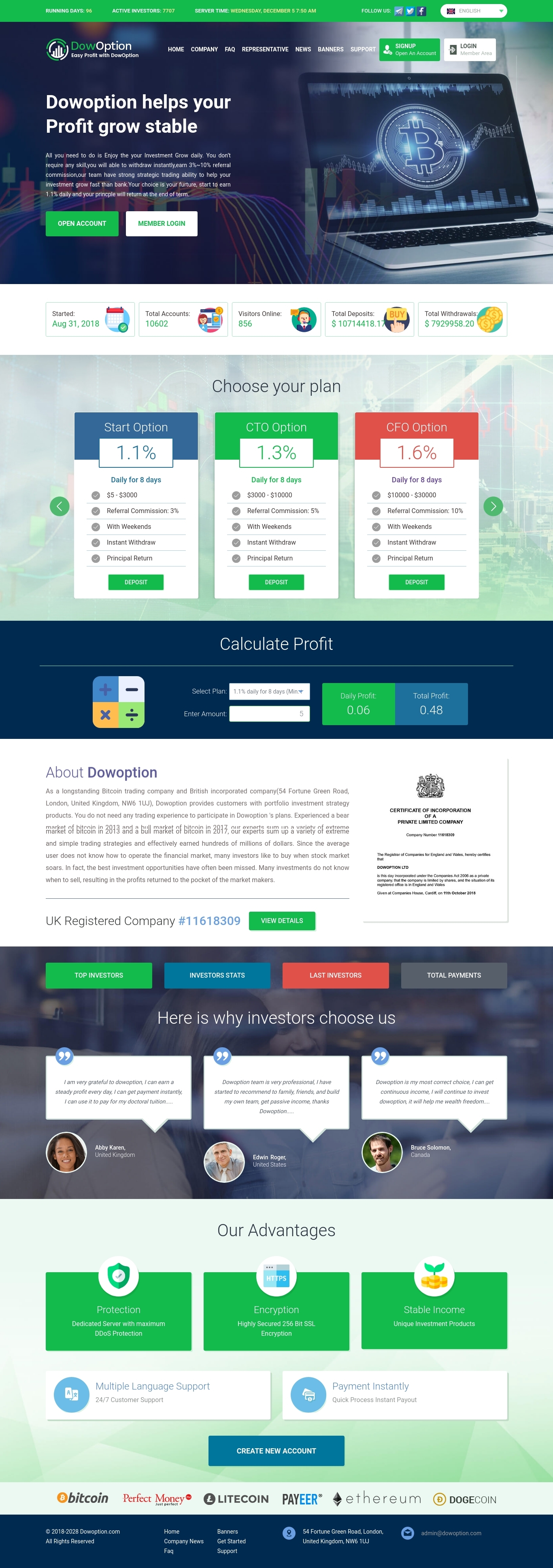 Игровой хайп проект DowOption