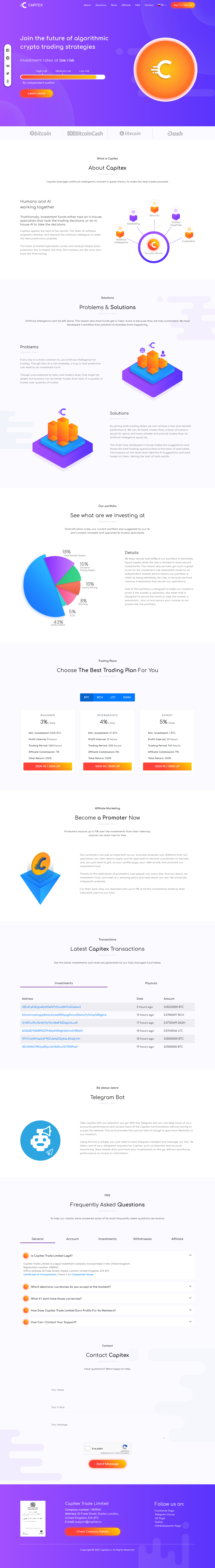 Инвестиционный проект Capitex Инвестиционный проект Capitex