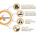 Криптовалюта BitConnect / Бітконнект Криптовалюта BitConnect / Бітконнект