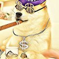 Перспективність криптовалюти Dogecoin Перспективність криптовалюти Dogecoin