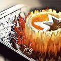 90% усіх Monero вже видобули. А що далі?