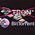 Для запуску токена BitTorrent мережа Tron не підходить Для запуску токена BitTorrent мережа Tron не підходить