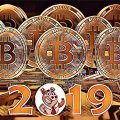 Чи варто купувати Біткоїн у 2019 році? Чи варто купувати Біткоїн у 2019 році?