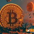 «Волатильність — це можливість»: біткоїн утретє тестує критичну підтримку «Волатильність — це можливість»: біткоїн утретє тестує критичну підтримку