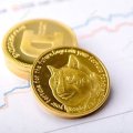 Dogecoin за бортом? Ілон Маск показав інтеграцію X Money з Visa, що працює виключно з фіатом
