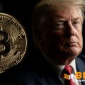 Трамп припустив біткоїн у Trump Accounts і назвав себе «великим фанатом крипти» Трамп припустив біткоїн у Trump Accounts і назвав себе «великим фанатом крипти»