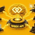 WEEX OpenAPI: п’ять модулів, сумісність із Binance і комісії для партнерів WEEX OpenAPI: п’ять модулів, сумісність із Binance і комісії для партнерів