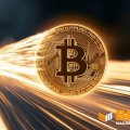 Strive (ASST) купила 21 біткоїн: резерв сягнув 19 921 BTC, а кеш зріс до $157 млн Strive (ASST) купила 21 біткоїн: резерв сягнув 19 921 BTC, а кеш зріс до $157 млн