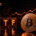 Bitcoin-ETF залучили майже $800 млн на тлі експлойту Coldcard Bitcoin-ETF залучили майже $800 млн на тлі експлойту Coldcard