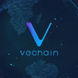 Огляд криптовалюти VeChain / ВіЧейн (VEN)