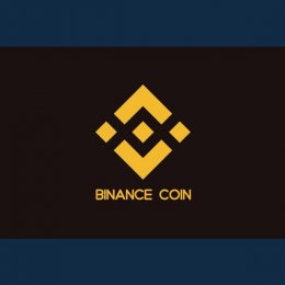 Огляд криптовалюти Binance Coin / Бінанс Коін (BNB)