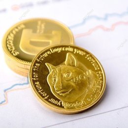 Dogecoin за бортом? Ілон Маск показав інтеграцію X Money з Visa, що працює виключно з фіатом