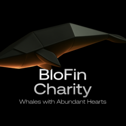 BloFin спрямовує $1 млн USDT і 12 млн боліварів допомоги постраждалим від землетрусу у Венесуелі