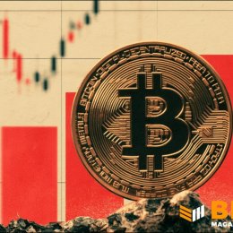 Біткоїн зріс вище $81 000 — і потягнув за собою акції, пов'язані з BTC