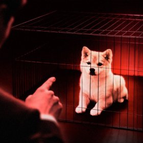 Crypto Trader James Wynn Slams Shiba Inu: ‘SHIB is Old, Dead, and Boring’ Crypto Trader James Wynn Slams Shiba Inu: ‘SHIB is Old, Dead, and Boring’