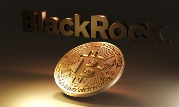 BlackRock Says 1% To 2% Bitcoin Allocation Is Reasonable For Traditional Portfolios BlackRock Says 1% To 2% Bitcoin Allocation Is Reasonable For Traditional Portfolios