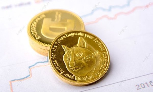 Dogecoin Left Out? Elon Musk Teases X Money Visa Integration Operating Exclusively in Fiat