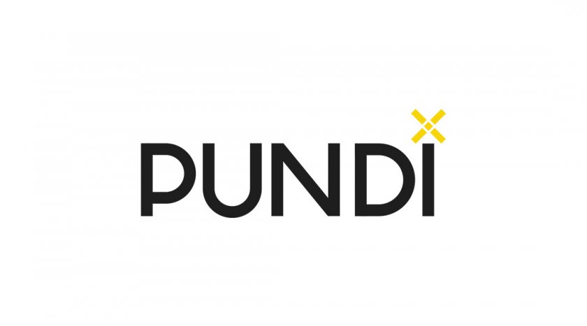 Огляд криптовалюти Pundi X / Пунді Ікс (NPXS)