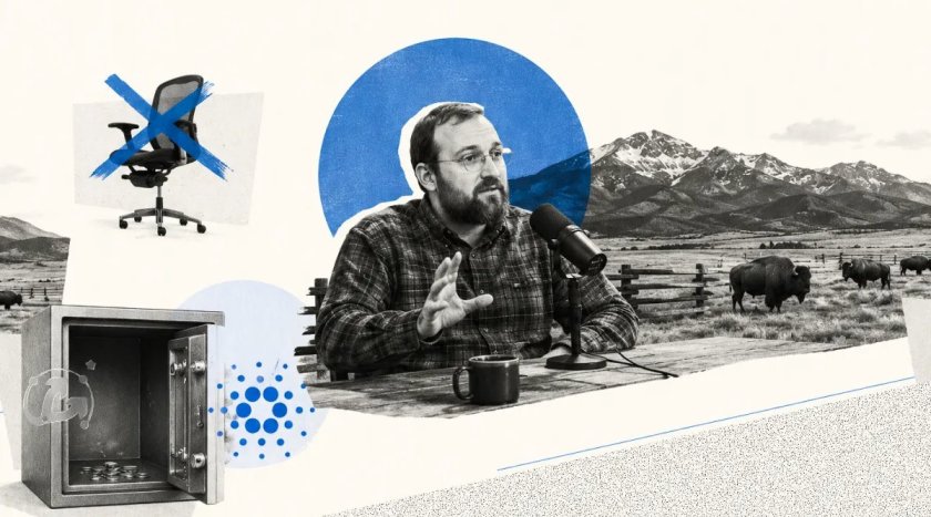 Науковий прорив і порожні пули: що призвело Cardano до кризи?