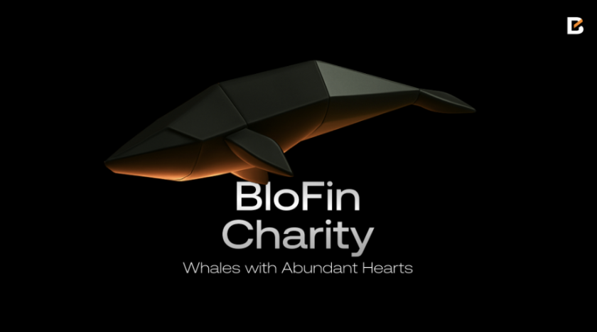 BloFin спрямовує $1 млн USDT і 12 млн боліварів допомоги постраждалим від землетрусу у Венесуелі BloFin спрямовує $1 млн USDT і 12 млн боліварів допомоги постраждалим від землетрусу у Венесуелі