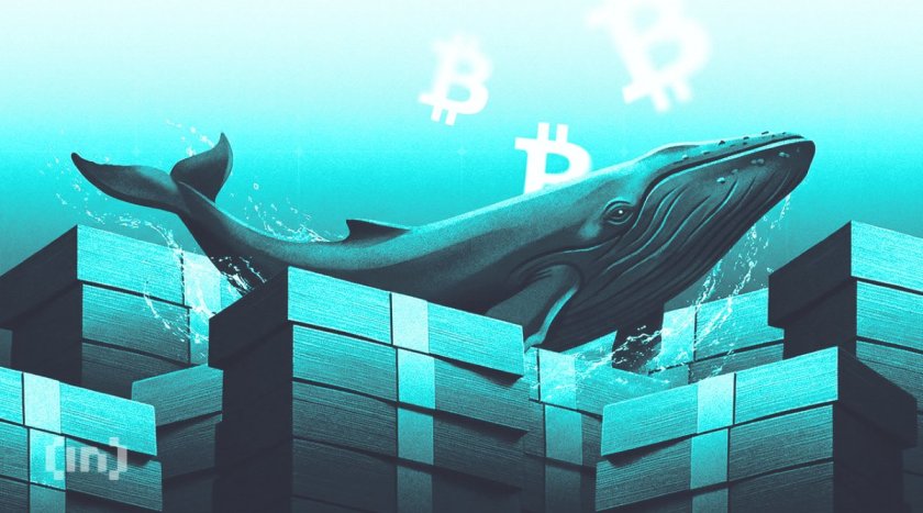 Прогноз ціни Bitcoin на серпень 2026: кити ставлять проти 4-річної серії збитків Прогноз ціни Bitcoin на серпень 2026: кити ставлять проти 4-річної серії збитків